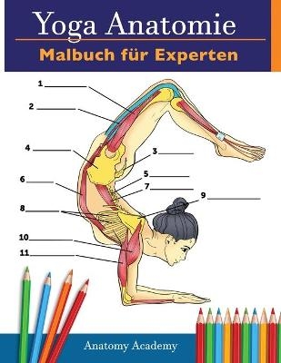 Yoga-Anatomie-Malbuch f&uuml;r Experten - Anatomy Academy
