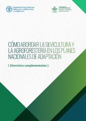 Cómo abordar la silvicultura y la agroforestería en los Planes Nacionales de Adaptación