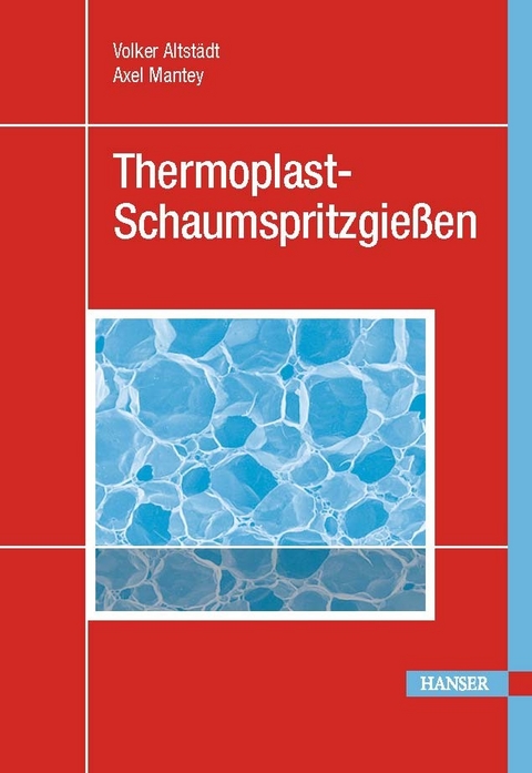 Schaumspritzgie&szlig;en -  Volker Altst&auml;dt,  Axel Mantey