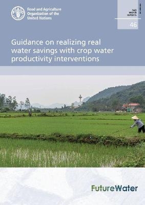 Guidance on realizing real water savings with crop water productivity interventions - Jonna van Opstal,  Food and Agriculture Organization