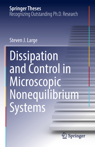 Dissipation and Control in Microscopic Nonequilibrium Systems