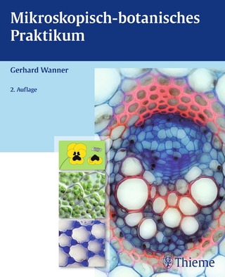 Mikroskopisch-botanisches Praktikum