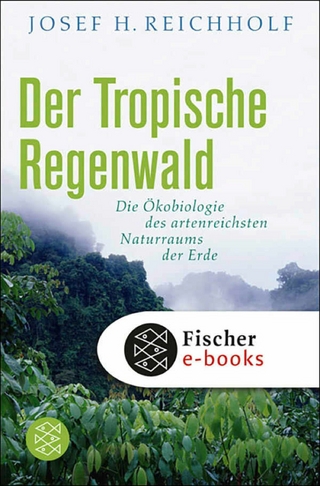 Der tropische Regenwald