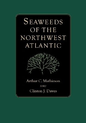 Seaweeds of the Northwest Atlantic