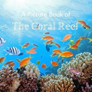 A Picture Book of The Coral Reef