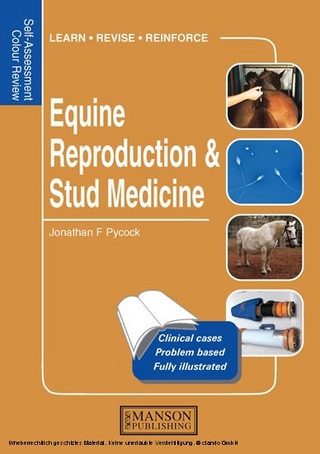 Equine Reproduction & Stud Medicine
