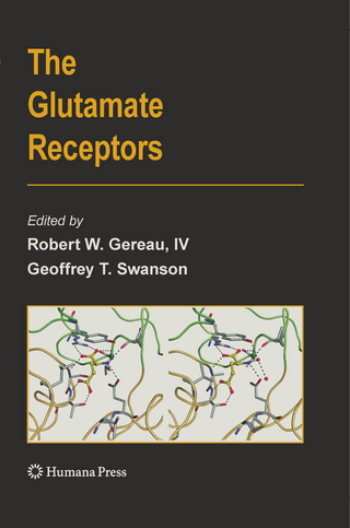 The Glutamate Receptors