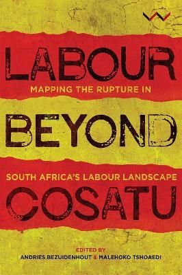 Labour Beyond Cosatu - 