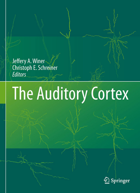 The Auditory Cortex - 
