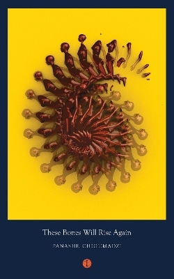 These Bones Will Rise Again - Panashe Chigumadzi