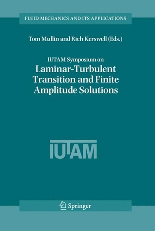 IUTAM Symposium on Laminar-Turbulent Transition and Finite Amplitude Solutions