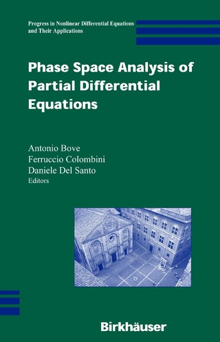 Phase Space Analysis of Partial Differential Equations