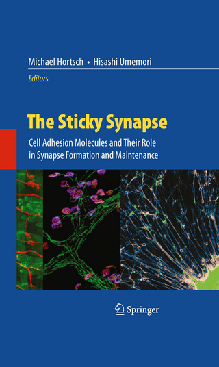 Sticky Synapse