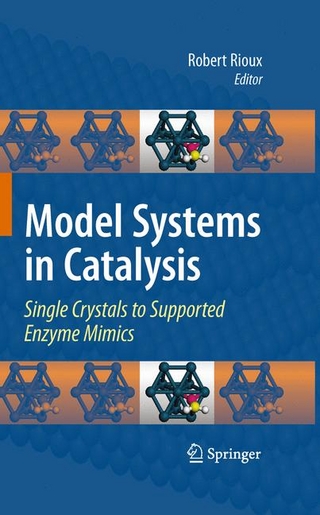 Model Systems in Catalysis
