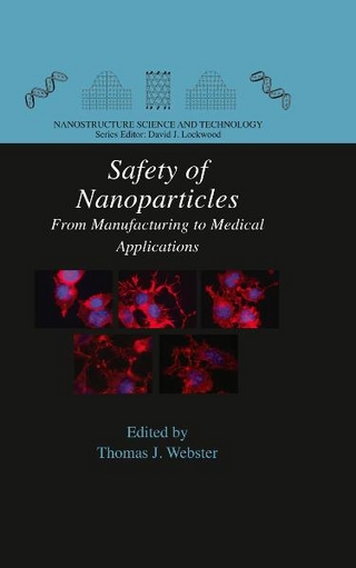 Safety of Nanoparticles