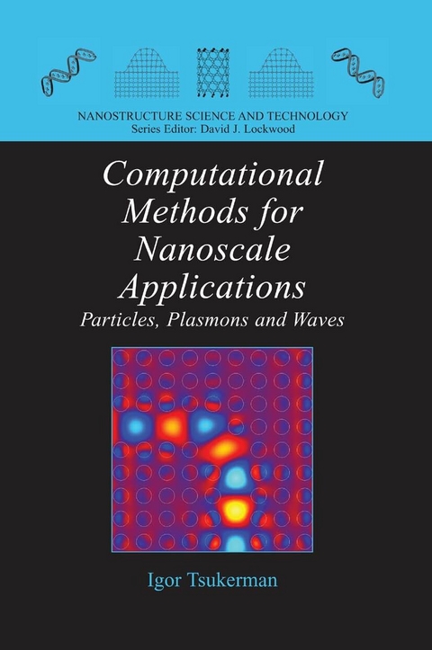 Computational Methods for Nanoscale Applications - Igor Tsukerman