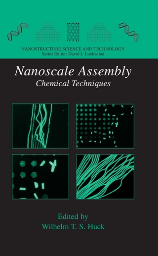 Nanoscale Assembly