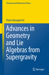 Advances in Geometry and Lie Algebras from Supergravity - Pietro Giuseppe Fr&egrave;