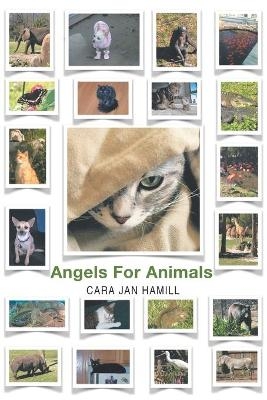 Angels for Animals - Cara Jan Hamill