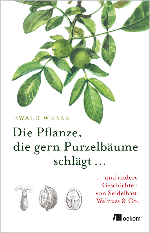 Die Pflanze, die gern Purzelb&auml;ume schl&auml;gt &hellip; - Ewald Weber