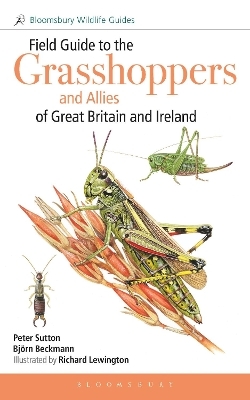Field Guide to the Grasshoppers and Allies of Great Britain and Ireland