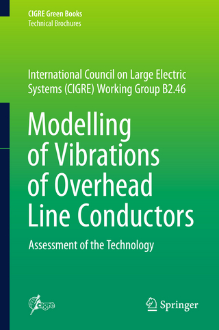 Modelling of Vibrations of Overhead Line Conductors