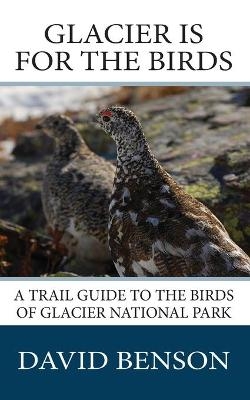 Glacier is for the Birds - David P Benson