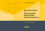 Kurzinformation über Arbeitsunfälle Wegeunfälle Berufskrankheiten - Braunsteffer, Heike; Schieke, Heinz
