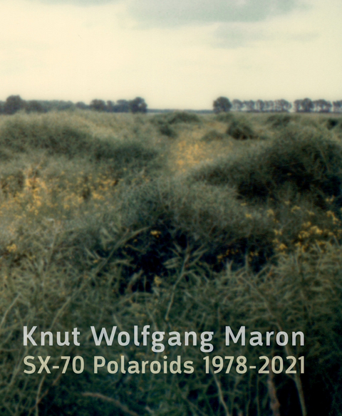Knut Wolfgang Maron - 
