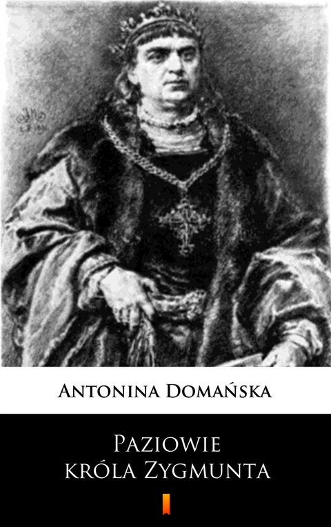 Paziowie kr&oacute;la Zygmunta - Antonina Domańska