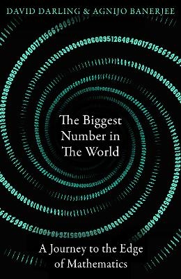 The Biggest Number in the World