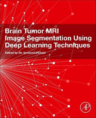 Brain Tumor MRI Image Segmentation Using Deep Learning Techniques - 