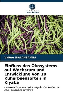 Einfluss des Ökosystems auf Wachstum und Entwicklung von 10 Kuherbsensorten in Kiyaka