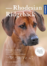 Rhodesian Ridgeback - Claudia K&ouml;rner
