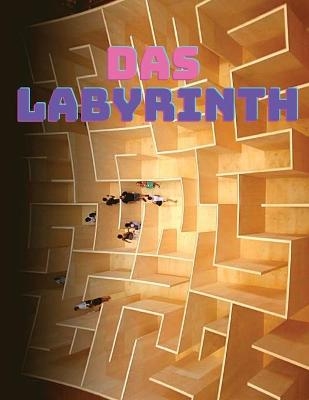 Labyrinth-Spiel f&uuml;r Erwachsene -  Expert Puzzle