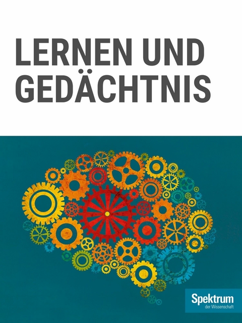 Lernen und Ged&auml;chtnis -  Spektrum der Wissenschaft