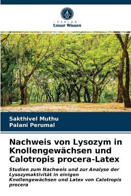 Nachweis von Lysozym in Knollengewächsen und Calotropis procera-Latex