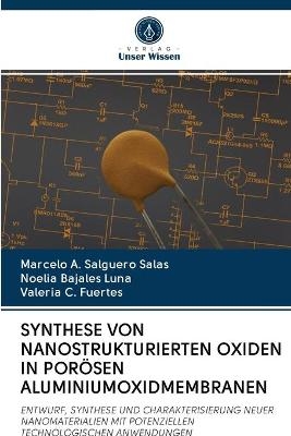 Synthese Von Nanostrukturierten Oxiden in Por&ouml;sen Aluminiumoxidmembranen - Marcelo A Salguero Salas, Noelia Bajales Luna, Valeria C Fuertes