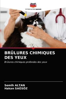 Brûlures Chimiques Des Yeux