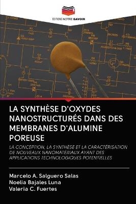 La Synth&egrave;se d'Oxydes Nanostructur&eacute;s Dans Des Membranes d'Alumine Poreuse - Marcelo A Salguero Salas, Noelia Bajales Luna, Valeria C Fuertes