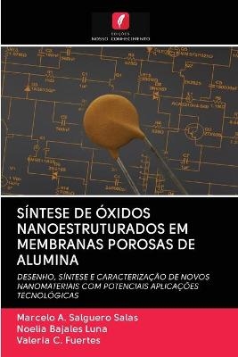 S&iacute;ntese de &Oacute;xidos Nanoestruturados Em Membranas Porosas de Alumina - Marcelo A Salguero Salas, Noelia Bajales Luna, Valeria C Fuertes