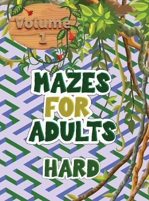 Mazes for adults - Queenie Activitys