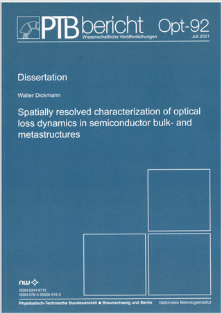 Spatially resolved characterization of optical loss dynamics in seminconductor bulk- and metastructures