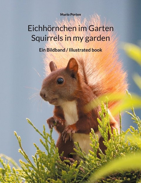 Eichh&ouml;rnchen im Garten / Squirrels in my garden - Mario Porten