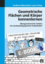 Geometrische Fl&auml;chen und K&ouml;rper kennenlernen - Andreas Marschall, Laura Petry