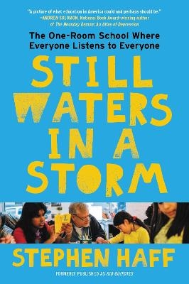 Still Waters in a Storm - Stephen Haff
