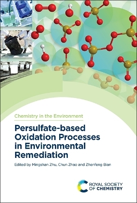 Persulfate-based Oxidation Processes in Environmental Remediation