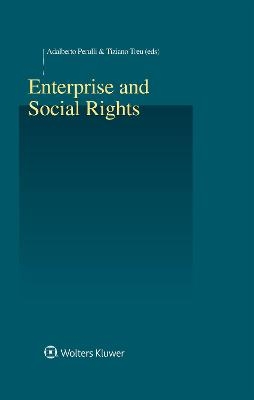 Enterprise and Social Rights