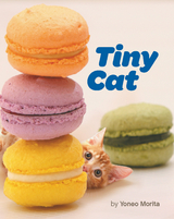 Tiny Cat - 