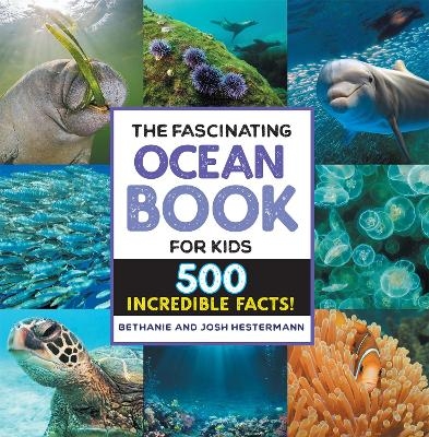 The Fascinating Ocean Book for Kids - Bethanie Hestermann, Josh Hestermann